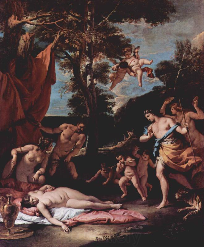 Sebastiano Ricci Bacchus und Ariadne Norge oil painting art